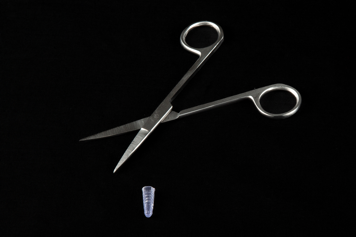 IRIS SCISSORS STRAIGHT